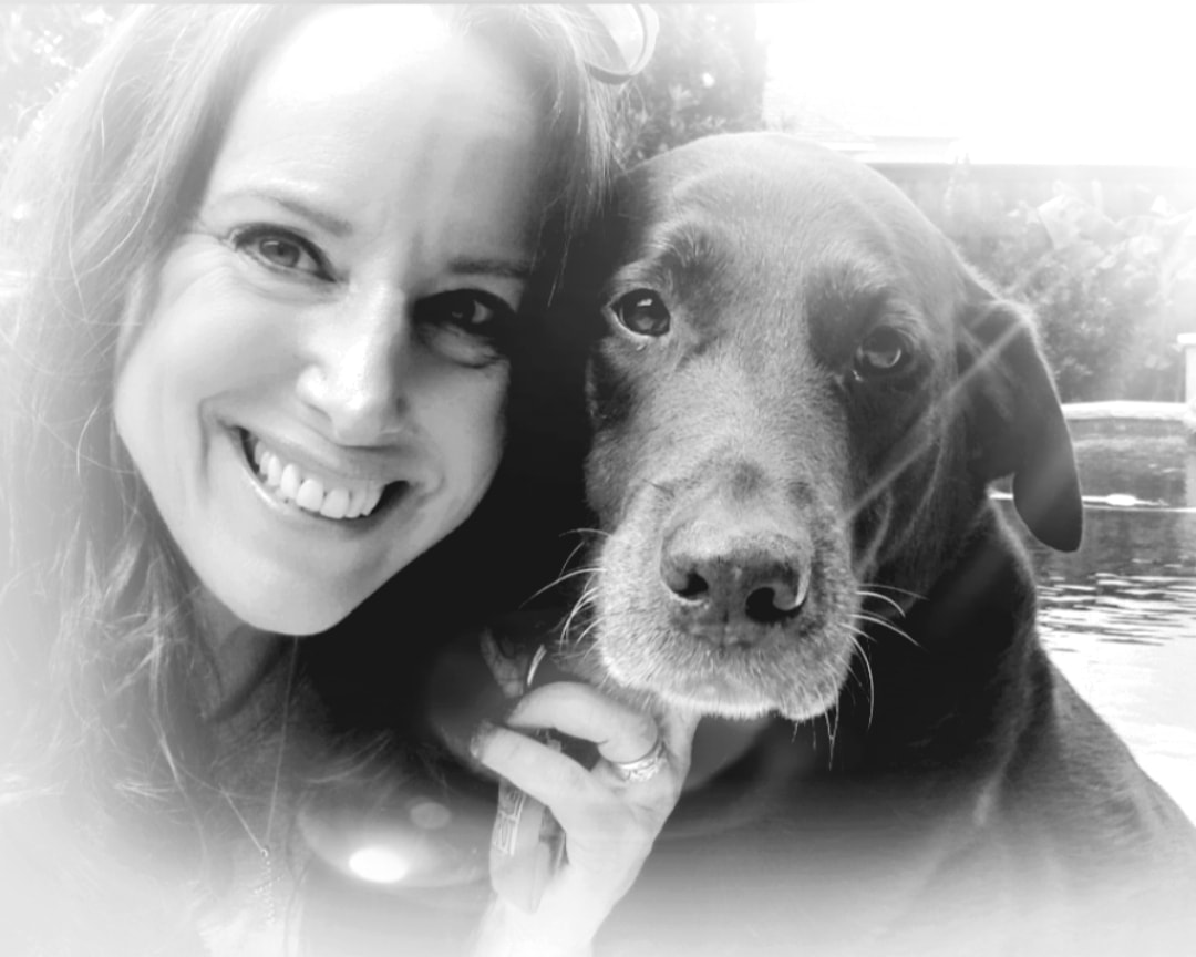 Plano Carrollton Frisco Addison Richardson Pet Sitter ReviewGrand Paws Pet Sitter